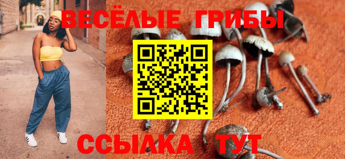 Галлюциногенные грибы мицелий  Псилоцибиновые грибы Magic Shrooms  Вход с VPN  Кимовск 